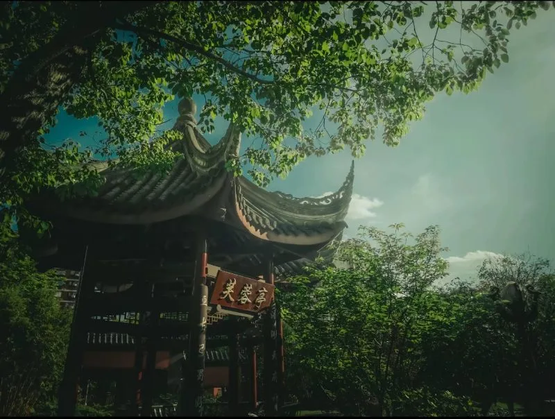 做个神仙-phira资源站