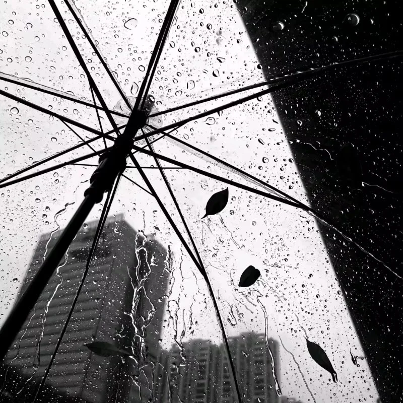 雨过后的风景-phira资源站