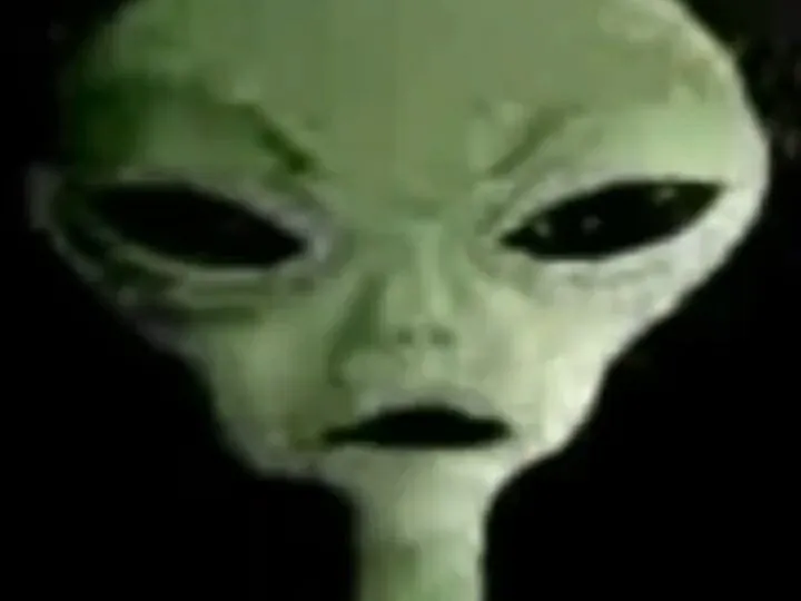 哦去，我被老每的那撒追踪了-phira资源站