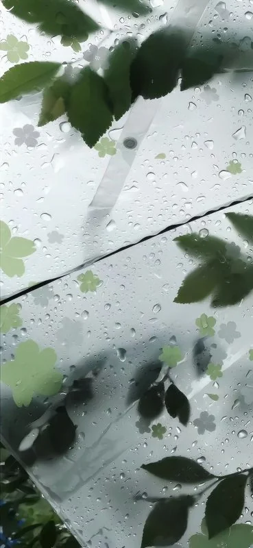 年轮-phira资源站